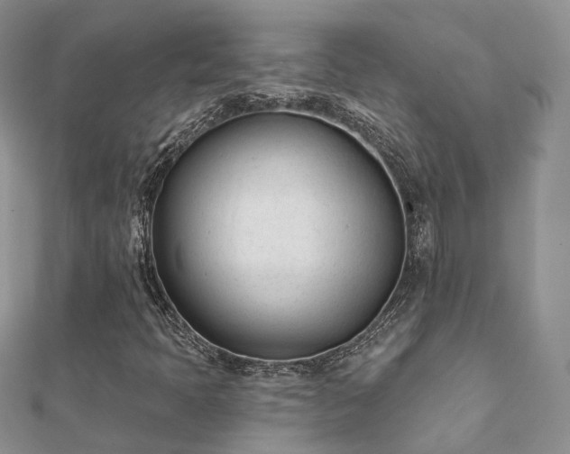 X0000112081397200908111445