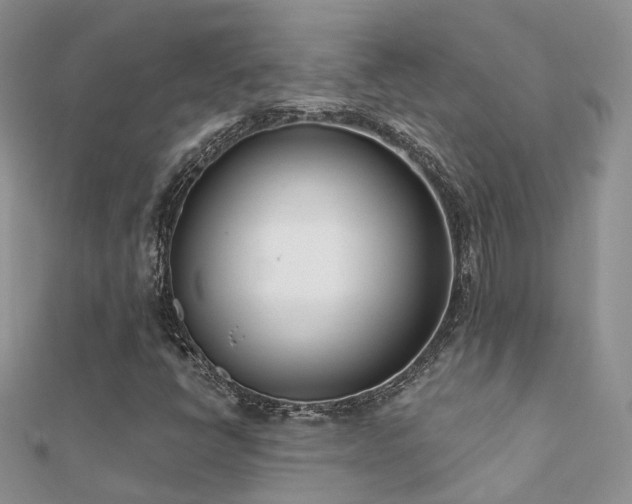 X0000112081398200908111445