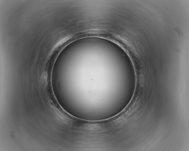 X0000112081402200908111445