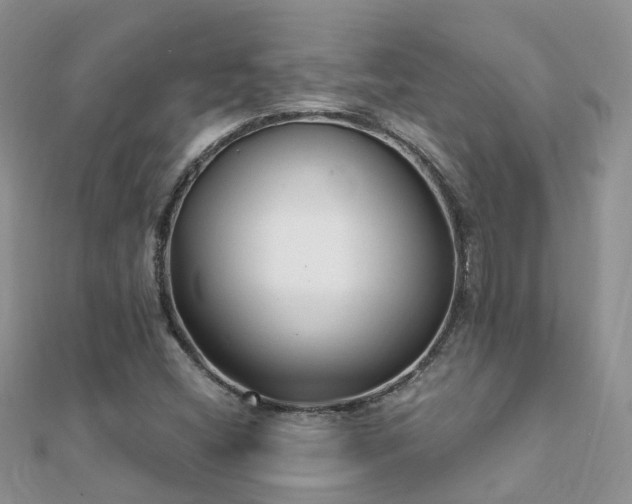 X0000112081404200908111445