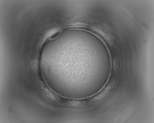 X0000112081405200908111445