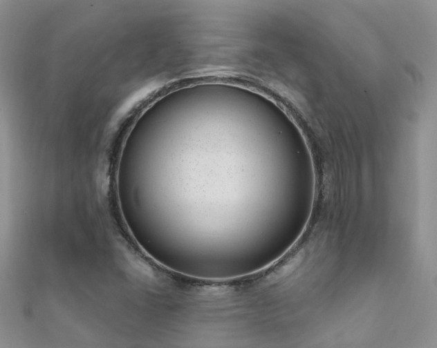 X0000112081406200908111445