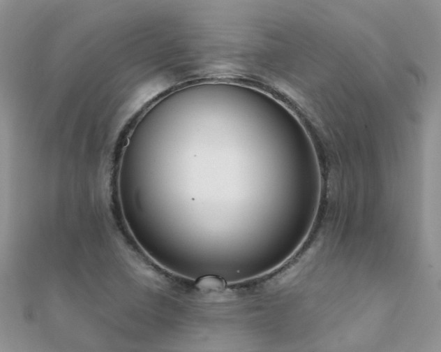 X0000112081410200908111445