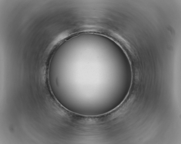 X0000112081411200908111445