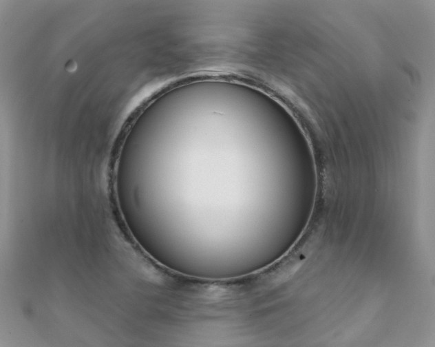 X0000112081412200908111445