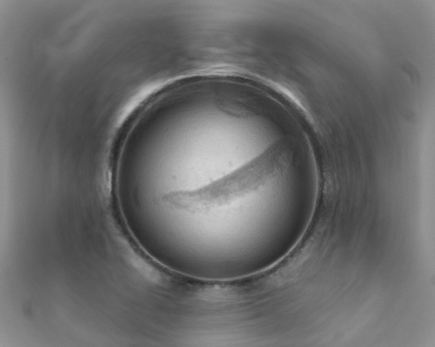 X0000112081414200908111445