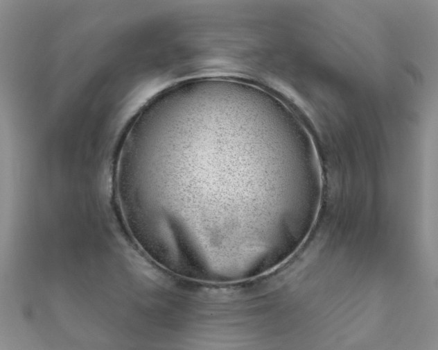 X0000112081415200908111445