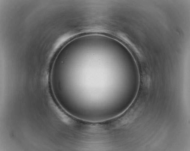 X0000112081416200908111445