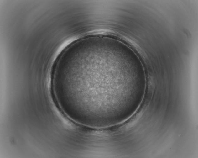 X0000112081418200908111445