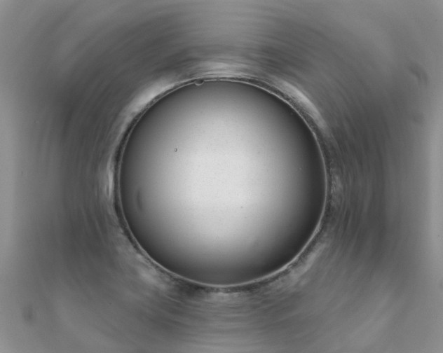 X0000112081419200908111445