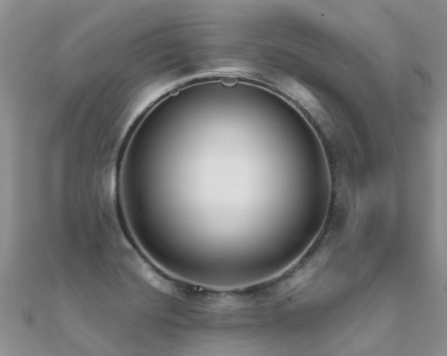X0000112081420200908111445