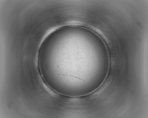 X0000112081421200908111445