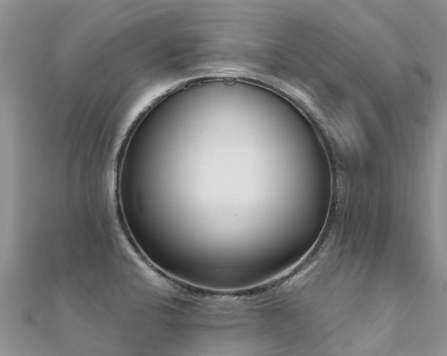 X0000112081424200908111445