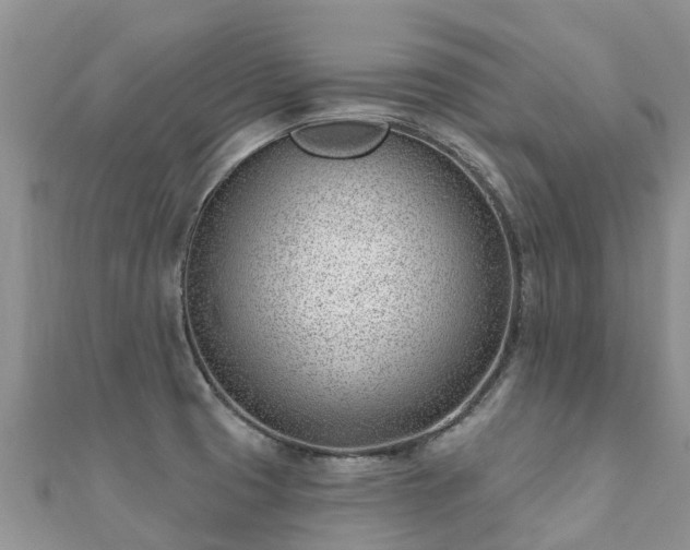 X0000112081425200908111445