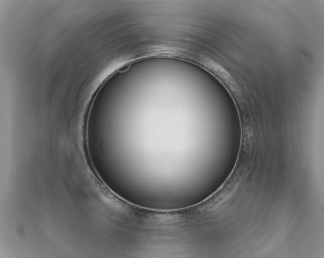 X0000112081427200908111445