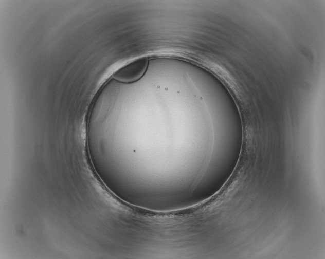 X0000112081428200908111445