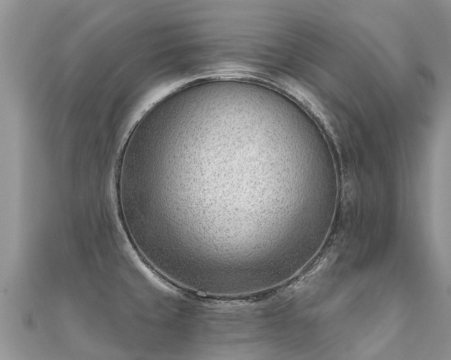 X0000112081429200908111445