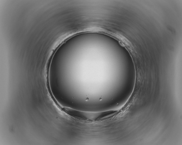 X0000112081430200908111445