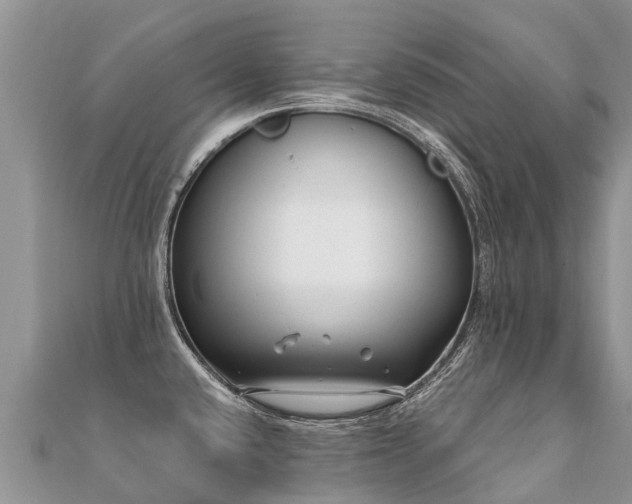 X0000112081432200908111445