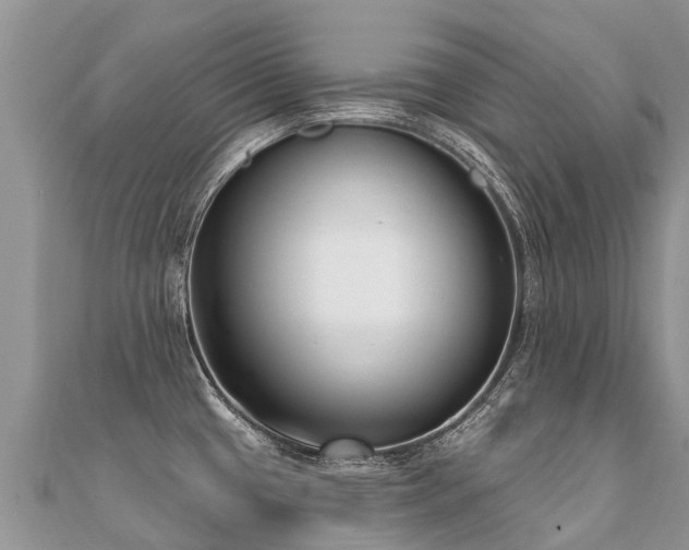 X0000112081433200908111445