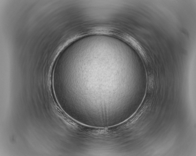 X0000112081435200908111445
