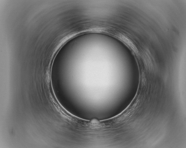 X0000112081436200908111445
