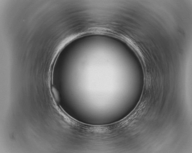 X0000112081437200908111445
