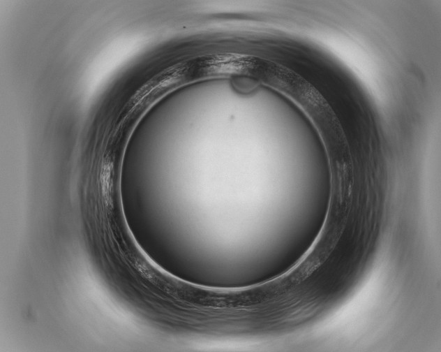 X0000112081438200908111445