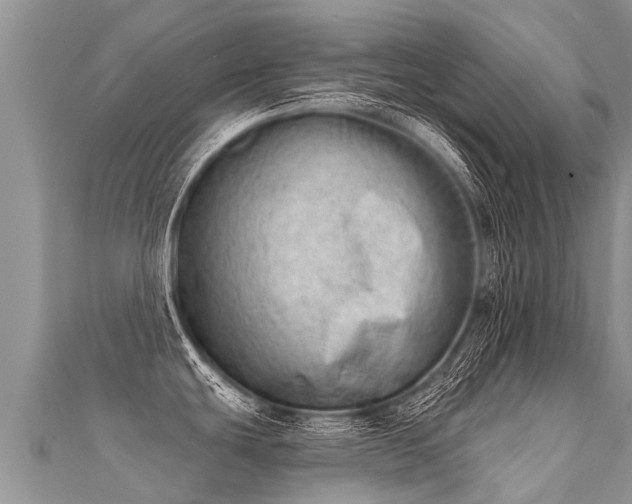 X0000112081439200908111445