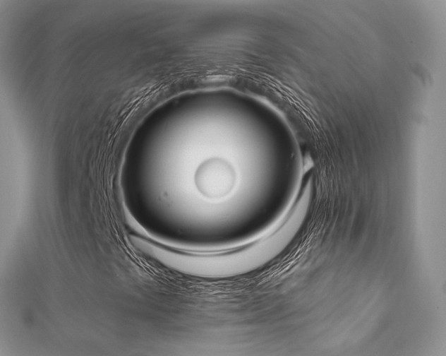 X0000112081441200908111445