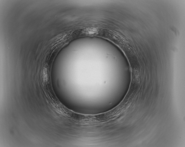 X0000112081442200908111445