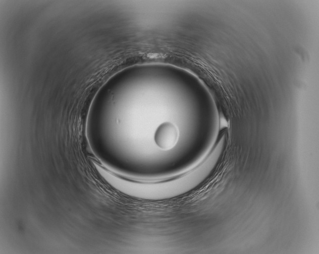 X0000112081443200908111445
