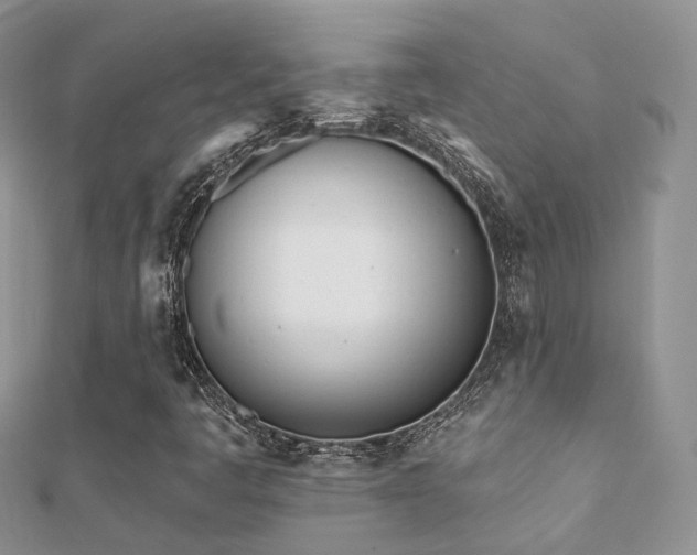 X0000112081445200908111445