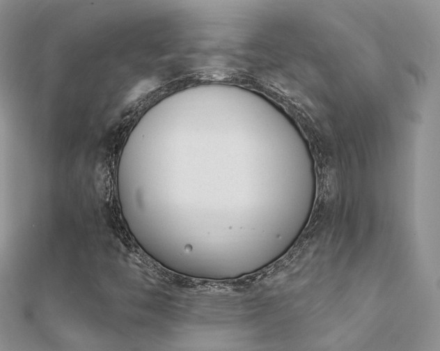 X0000112081446200908111445