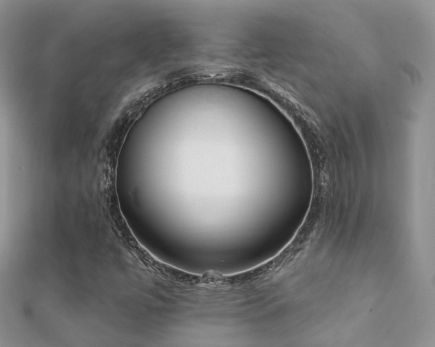 X0000112081447200908111445
