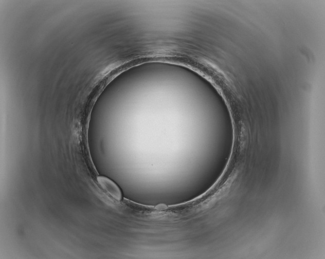 X0000112081449200908111445