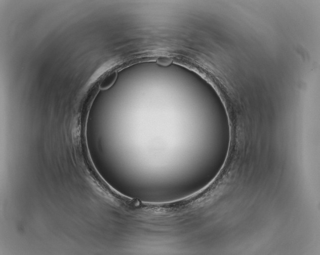 X0000112081450200908111445