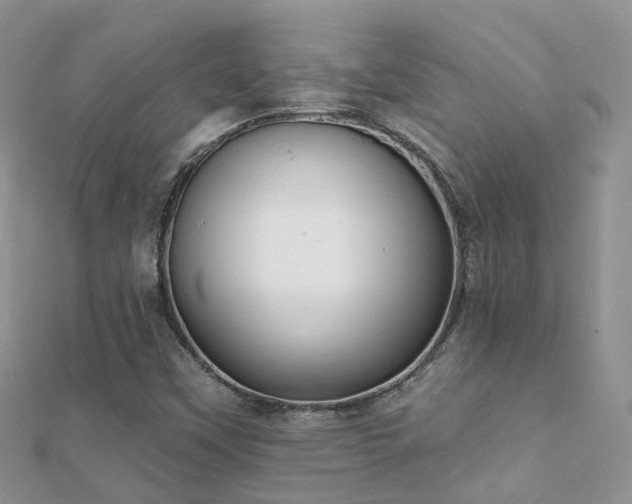 X0000112081451200908111445