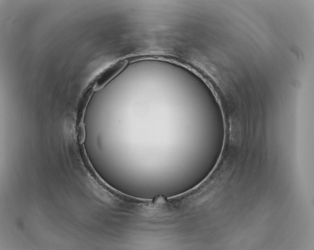 X0000112081452200908111445