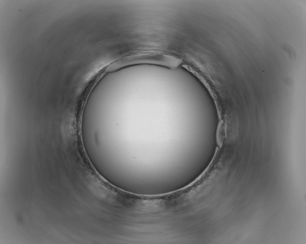X0000112081453200908111445