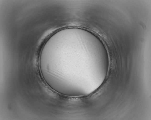 X0000112081454200908111445