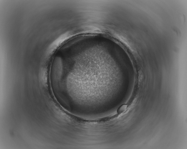 X0000112081455200908111444