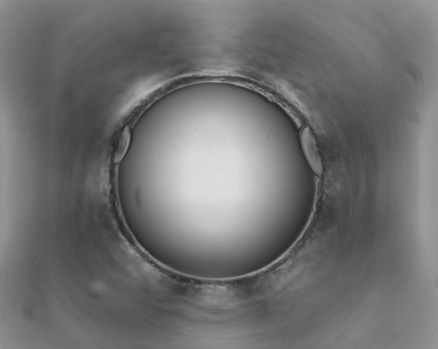 X0000112081456200908111444