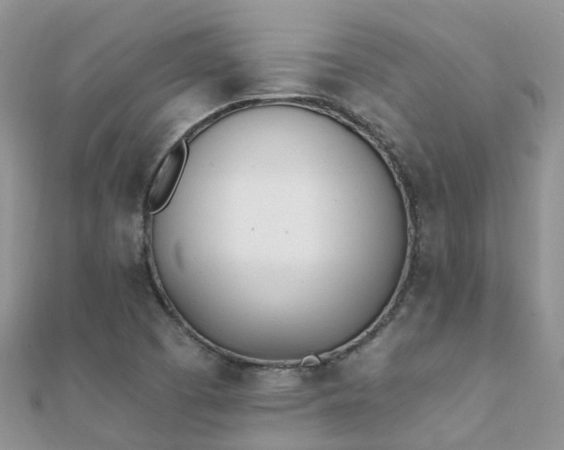 X0000112081457200908111444