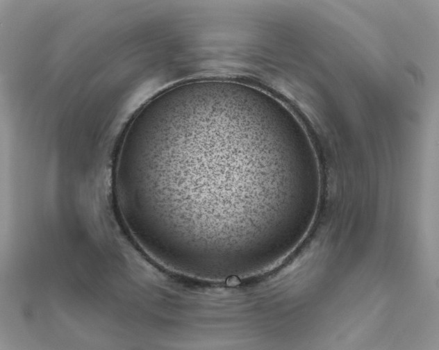 X0000112081459200908111444