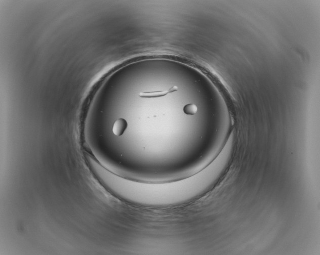 X0000112081460200908111444