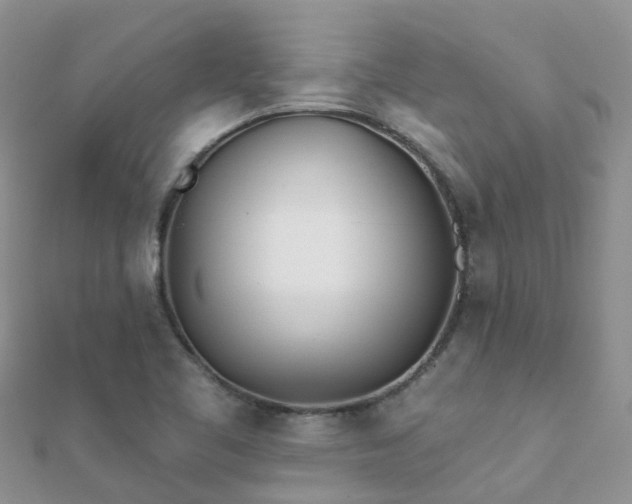X0000112081461200908111444