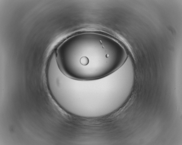 X0000112081464200908111444