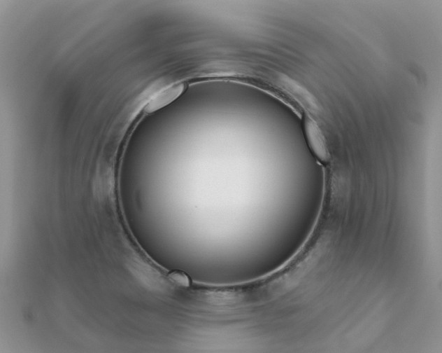 X0000112081465200908111444