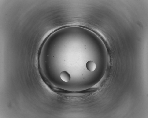 X0000112081468200908111444